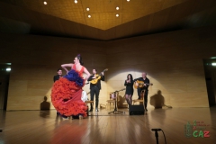 2020-01-31-Flamenco-auditorio-118