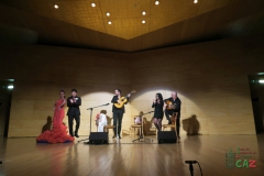 2020-01-31-Flamenco-auditorio-119