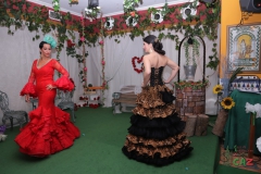 2020-02-08-Desfile-Moda-Flamenca-029