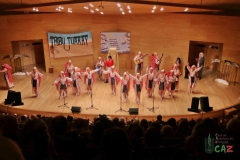 2020-02-22-Chirigotas-251