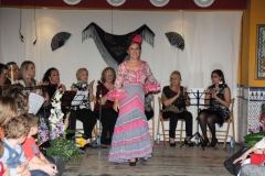 Moda Flamenca 2014